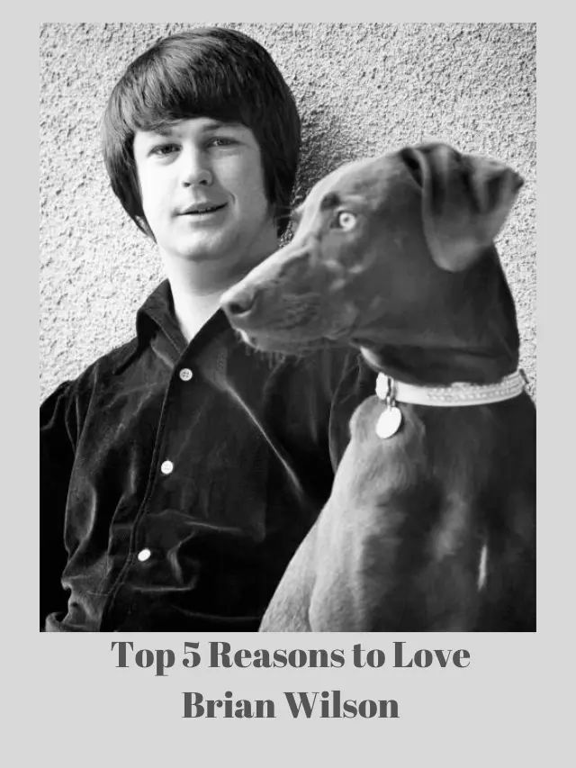 Top 5 Reasons to Love Brian Wilson